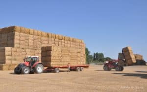 Negoce de pailles dans la Vienne