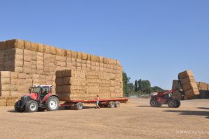 Negoce de pailles dans la Vienne