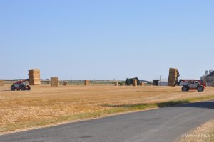 Negoce et vente de fourrage et paille dans la vienne