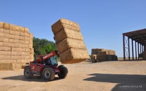 Marchand de Pailles et Fourrages dans la Vienne