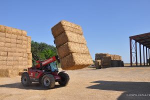 Marchand de Pailles et Fourrages dans la Vienne