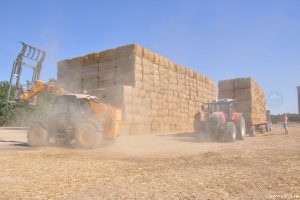 Vente de paille et fourrage à Cuhon et dans la Vienne 86