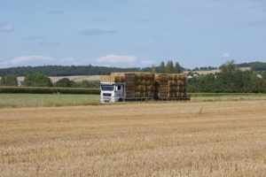 Paille d'orge, blé, colza et foin des prés Tanguy Ouvrard Cuhon